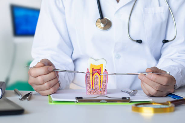 Best Emergency Gum Treatment in Upper Brookville, NY